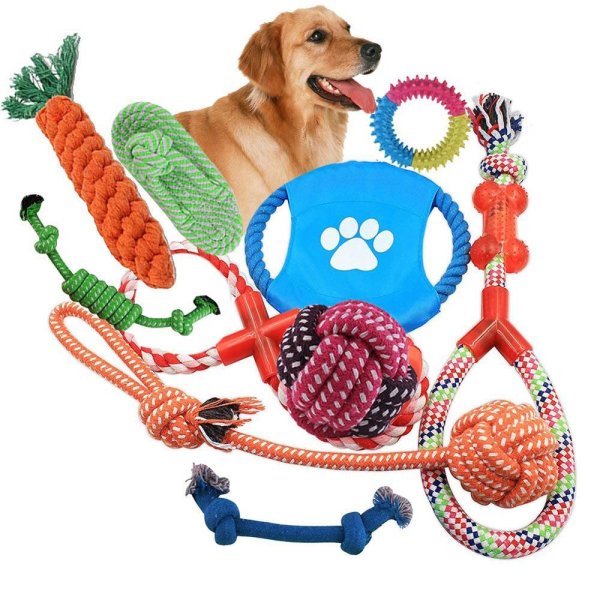 Рисунки игрушки для собак (32 фото)