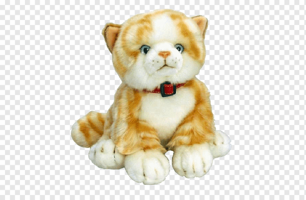 Игрушки для кошек на прозрачном фоне