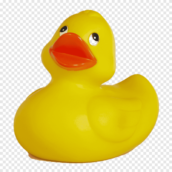 Утка желтая