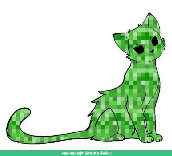 КРИПЕР кот