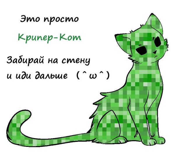 КРИПЕР кот