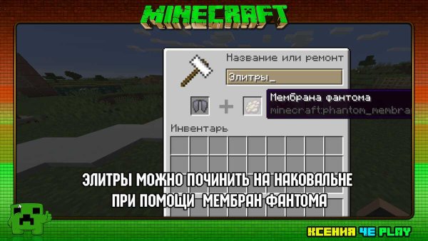 Как починить ЭЛИТРЫ