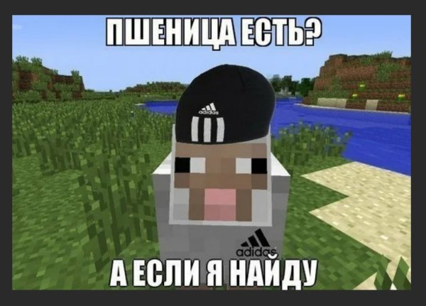 Майнкрафт приколы