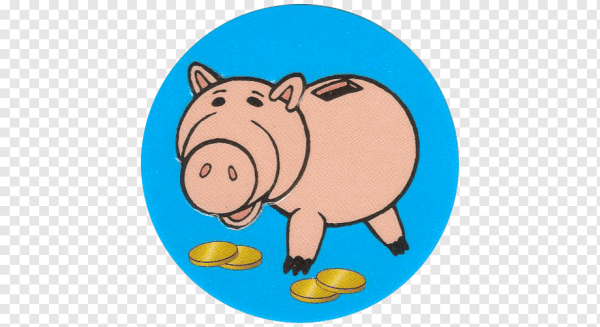 Pig film