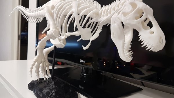 3d Printer t-Rex