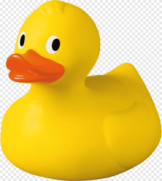 Ducky утка