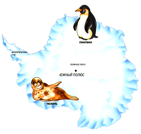 Рисунки антарктида карта (48 фото)