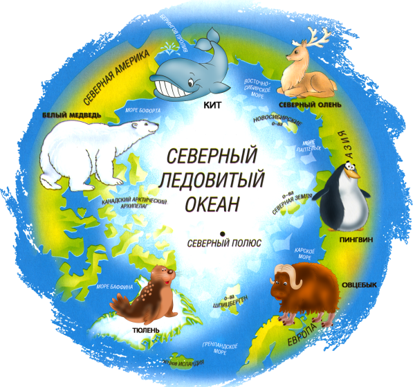Северный и Южный полюс для детей