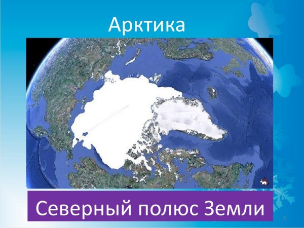 Арктика Северный полюс земли