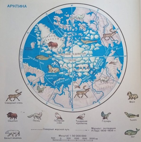 Арктика на карте мира для детей