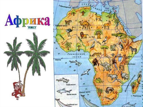 Карта Африки дл ядетет