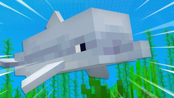 Дельфин майнкрафт 1.16