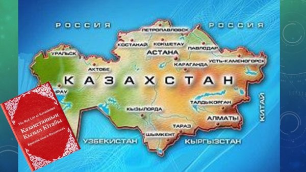 Казахстан карта картинки
