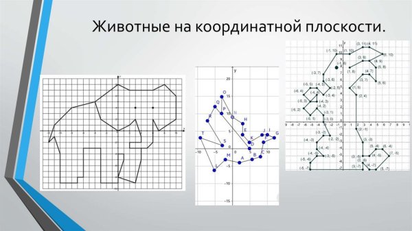 Животные на координатной плоскости