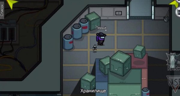 Карта the Skeld among us