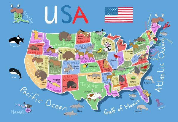 Детская карта США
