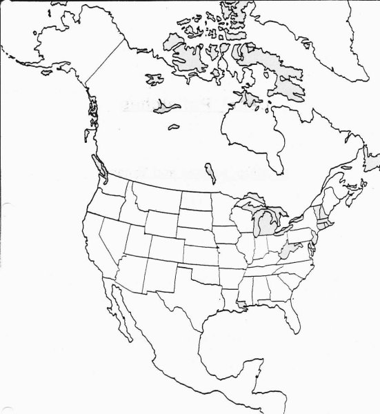 Политическая карта Северной Америки контурная карта