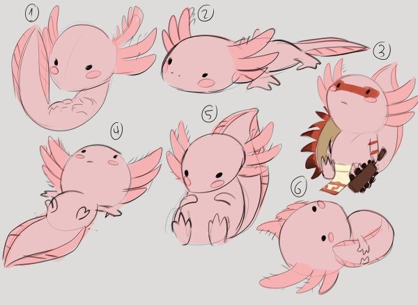Pokemon аксолотль