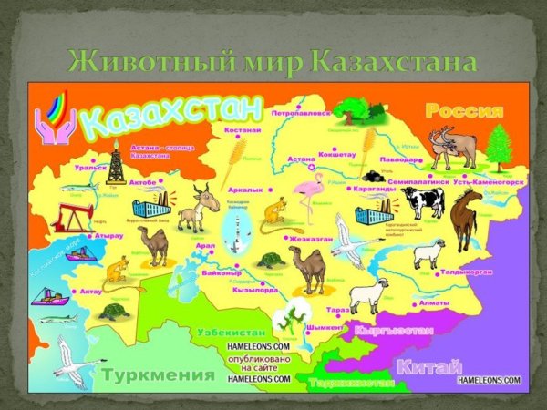 Карта Казахстана для детей