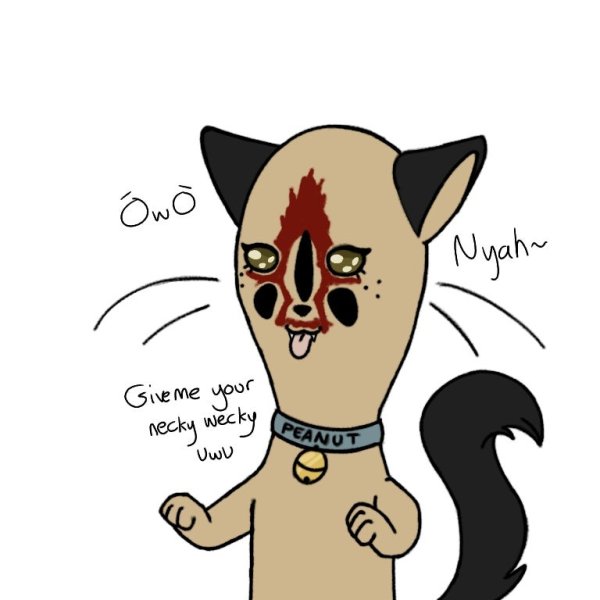 Картун кошка SCP