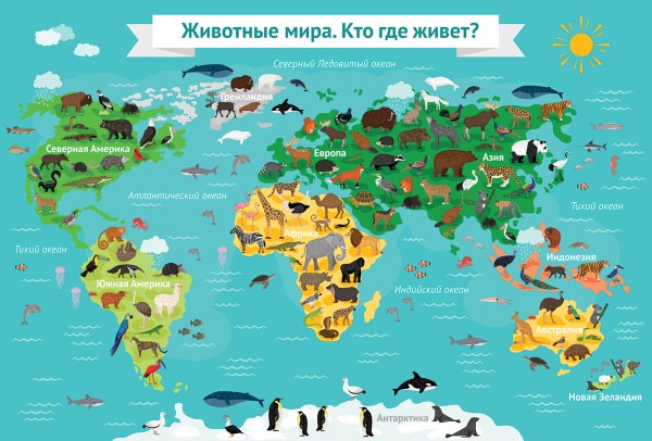 Карта с животными