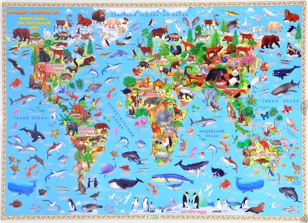 Карта мира для детей "животный и растительный мир земли" 101х69