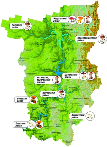 Карта дорог Пермского края