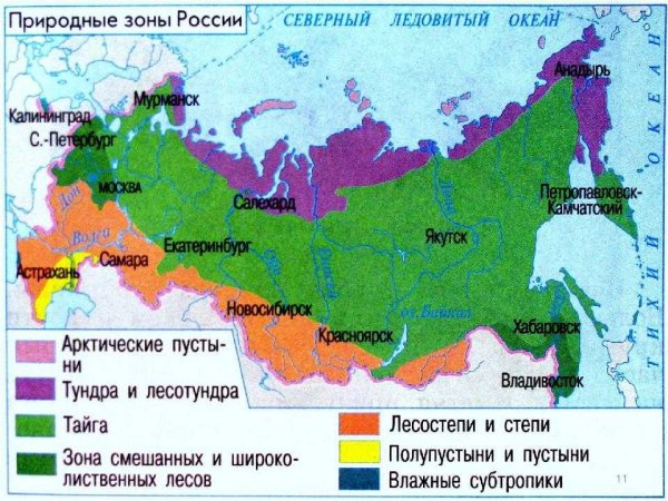 Карта зон России природных зон