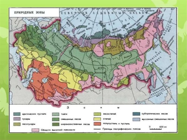 Карта природных зон России