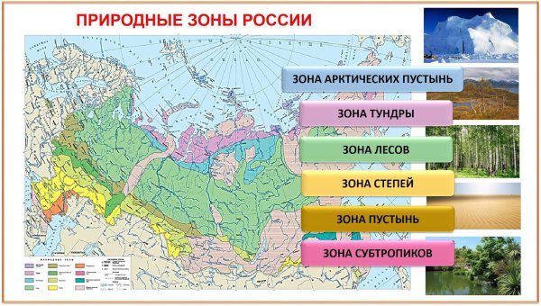 Карта природных зон России