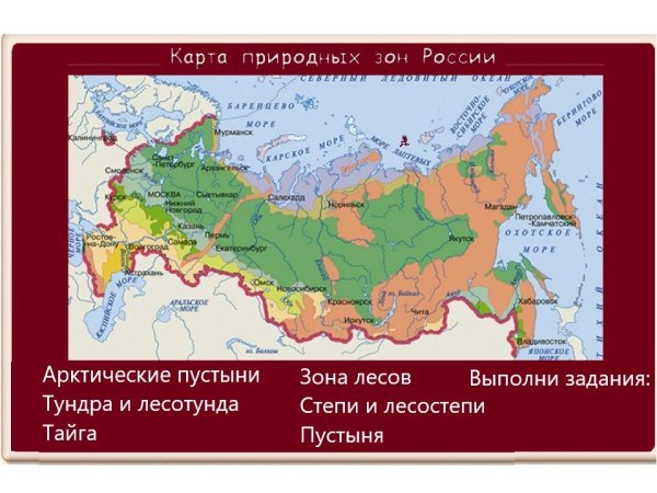 Карта природных зон России 4 класс окружающий мир ВПР
