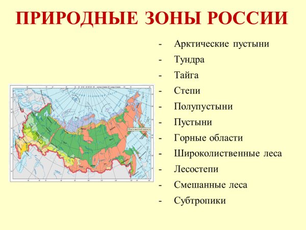 Название природных зон России