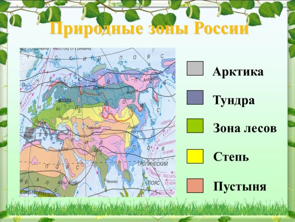 Карта природных зон
