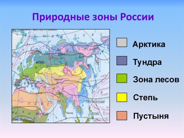 Карта природных зон мира 4 класс окружающий мир