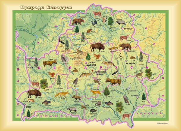Животные Беларуси на карте