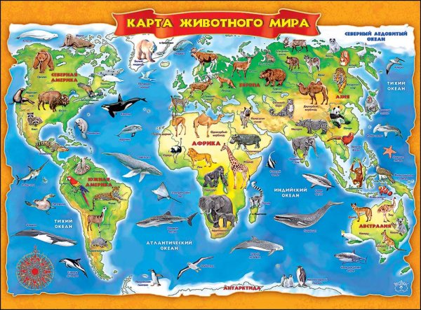 Карта мира животные для детей