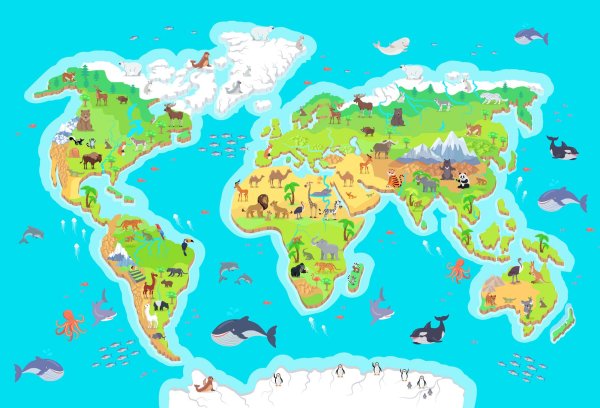 Карта животных мира
