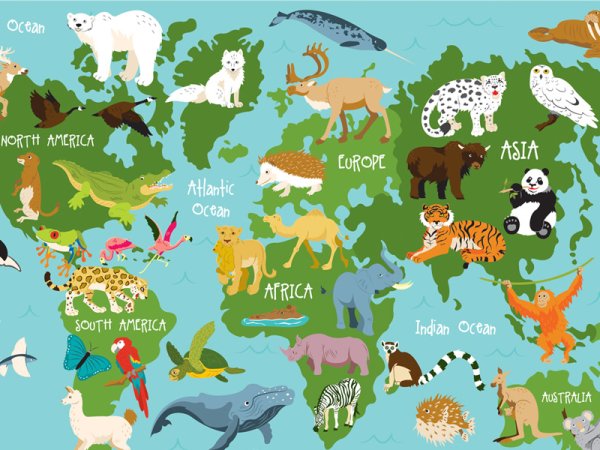 Животные по континентам для детей