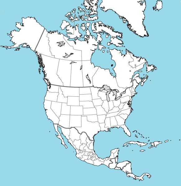 Карта Северной Америки с провинциями для маппинга