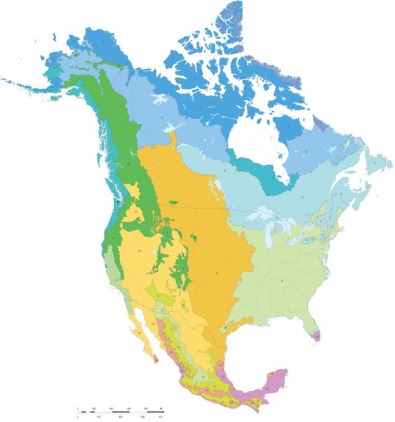Северная Америка на белом фоне