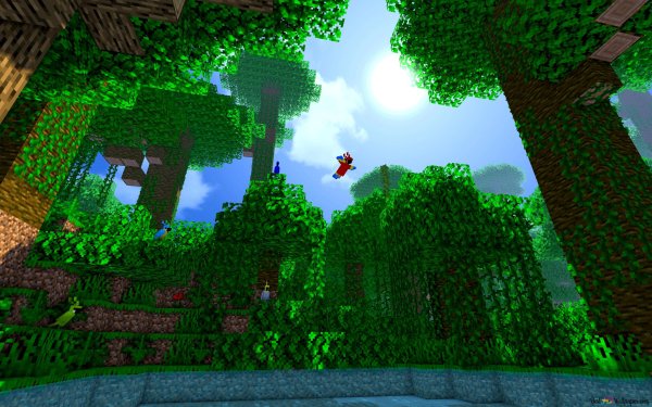 Minecraft джунгли