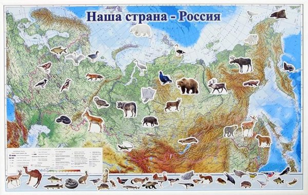 Карта России где живут животные