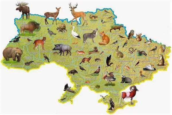 Животный мир Евразии карта