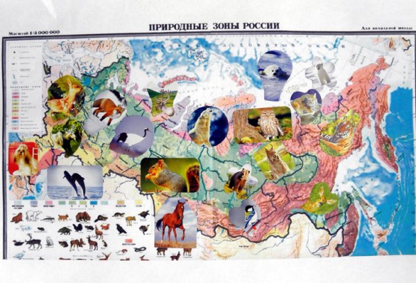 Расположение животных на карте России