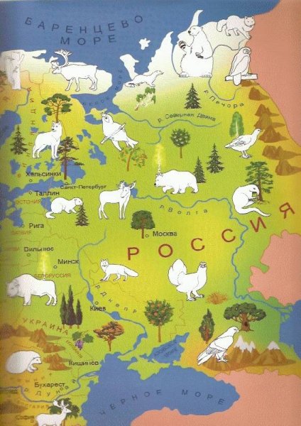 Карта животных России