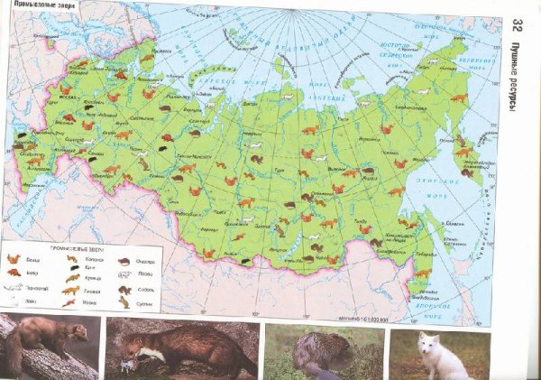 Карта России с животными