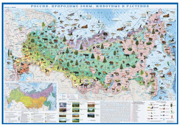 Карта природных зон и животных России