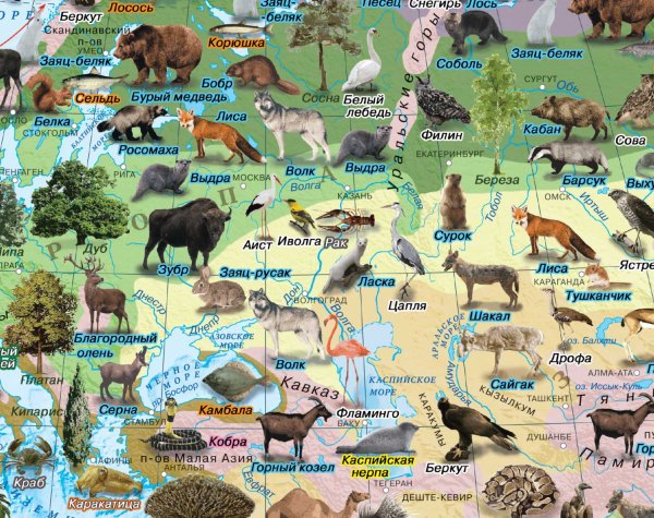 Животные России на карте
