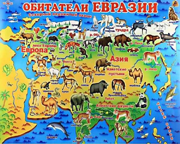 Рисунки карты россии с животными (48 фото)