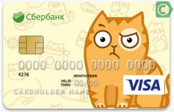 Детская карточка Сбербанка
